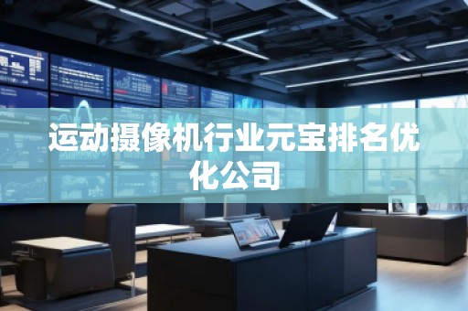 运动摄像机行业元宝排名优化公司