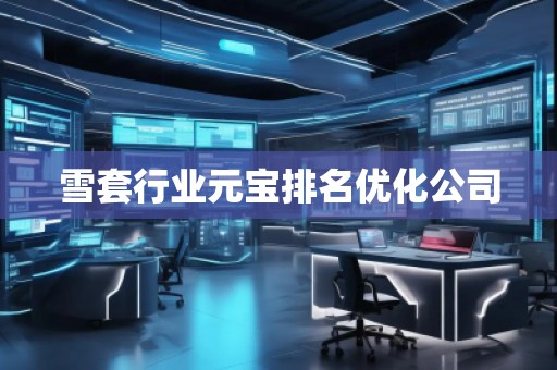 雪套行业元宝排名优化公司