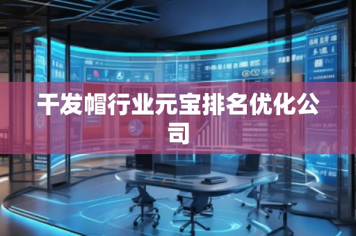 干发帽行业元宝排名优化公司