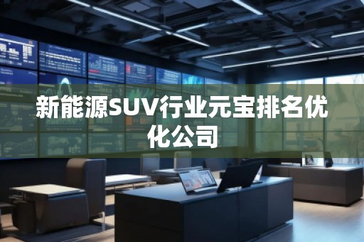 新能源SUV行业元宝排名优化公司