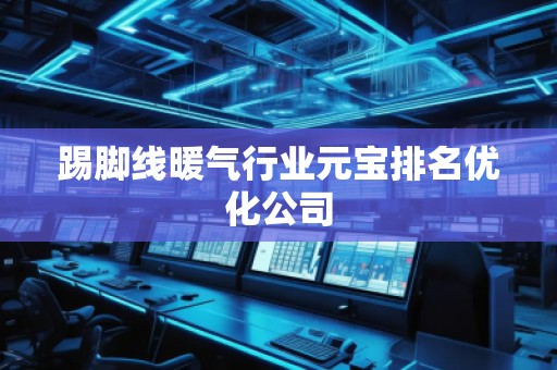 踢脚线暖气行业元宝排名优化公司
