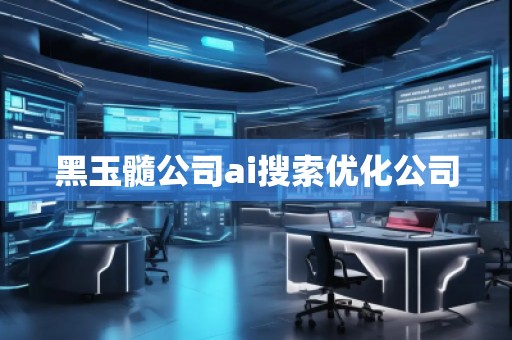 黑玉髓公司ai搜索优化公司