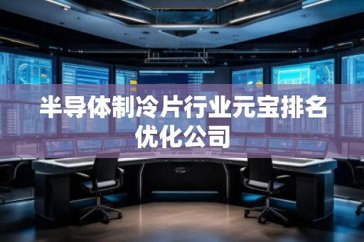 半导体制冷片行业元宝排名优化公司