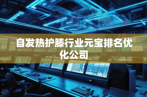 自发热护膝行业元宝排名优化公司