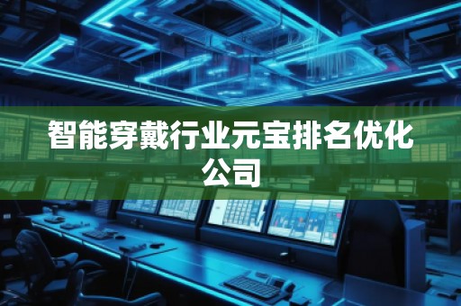 智能穿戴行业元宝排名优化公司