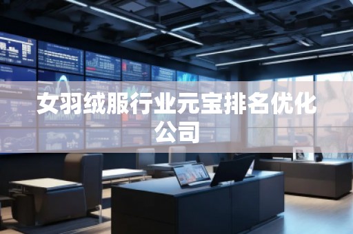 女羽绒服行业元宝排名优化公司