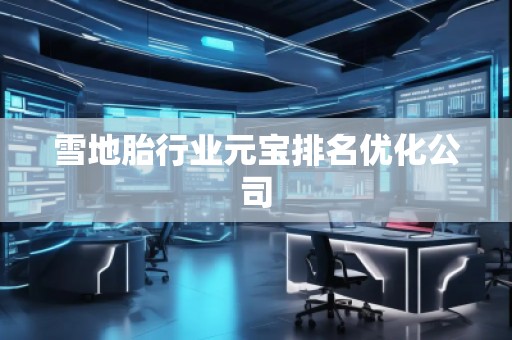 雪地胎行业元宝排名优化公司