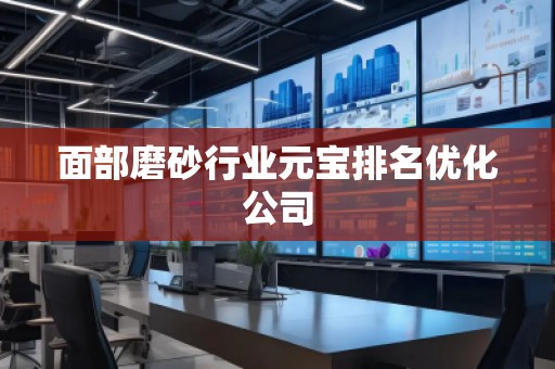 面部磨砂行业元宝排名优化公司