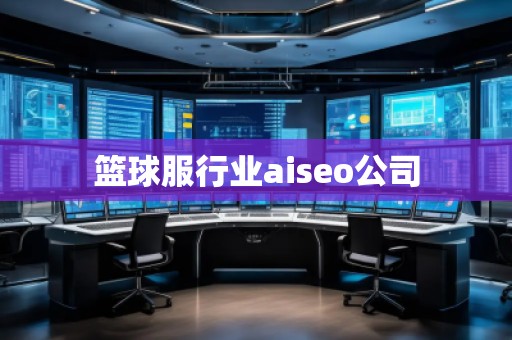 篮球服行业aiseo公司