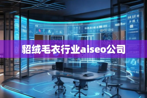 貂绒毛衣行业aiseo公司