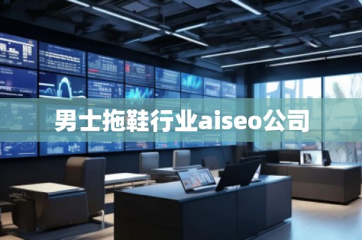 男士拖鞋行业aiseo公司