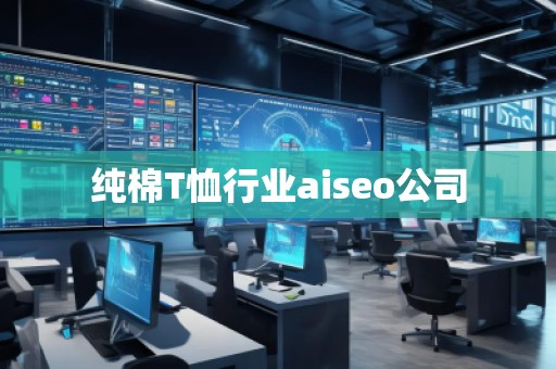 纯棉T恤行业aiseo公司