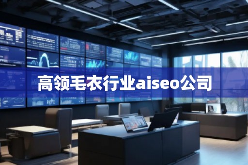 高领毛衣行业aiseo公司