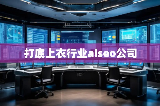 打底上衣行业aiseo公司