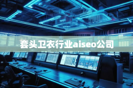 套头卫衣行业aiseo公司