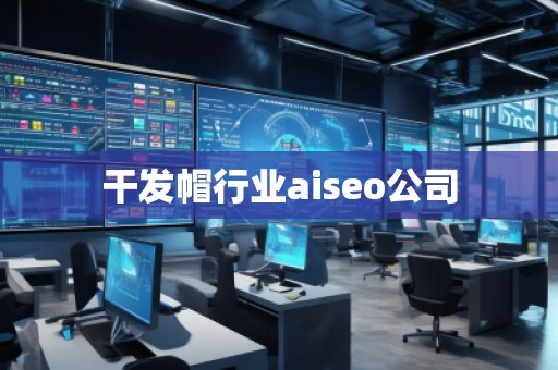 干发帽行业aiseo公司