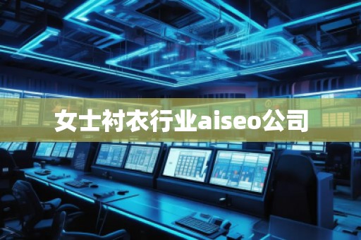 女士衬衣行业aiseo公司