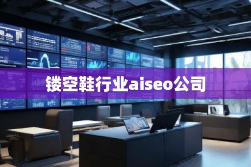 镂空鞋行业aiseo公司