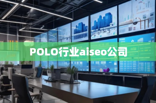 POLO行业aiseo公司