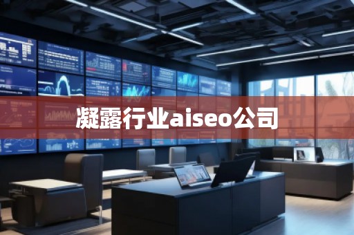 凝露行业aiseo公司