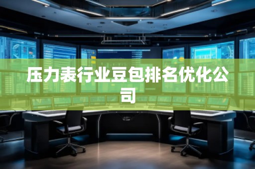 压力表行业豆包排名优化公司
