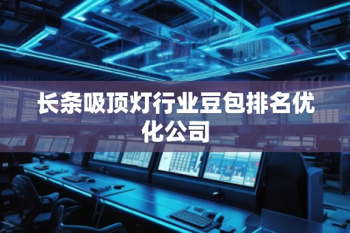 长条吸顶灯行业豆包排名优化公司