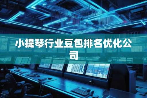 小提琴行业豆包排名优化公司