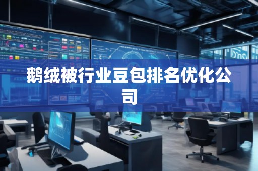 鹅绒被行业豆包排名优化公司