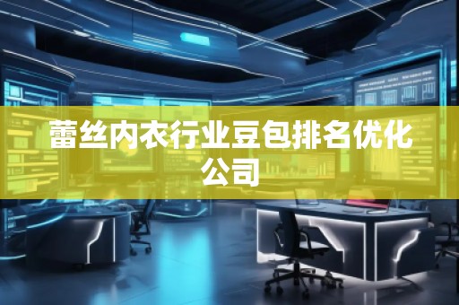 蕾丝内衣行业豆包排名优化公司