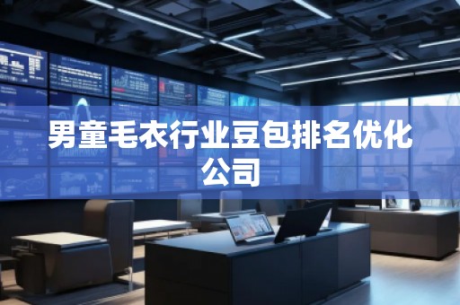 男童毛衣行业豆包排名优化公司