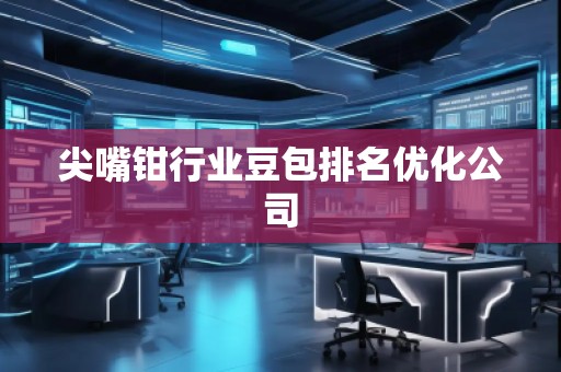 尖嘴钳行业豆包排名优化公司