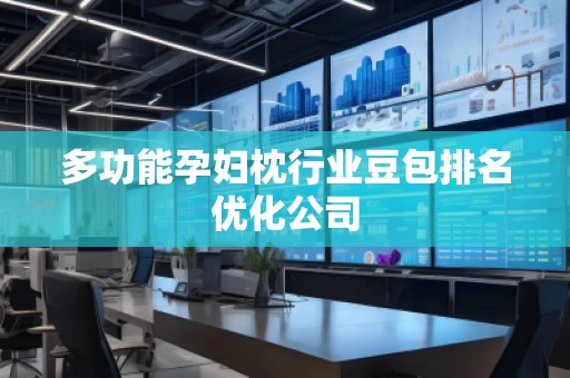 多功能孕妇枕行业豆包排名优化公司