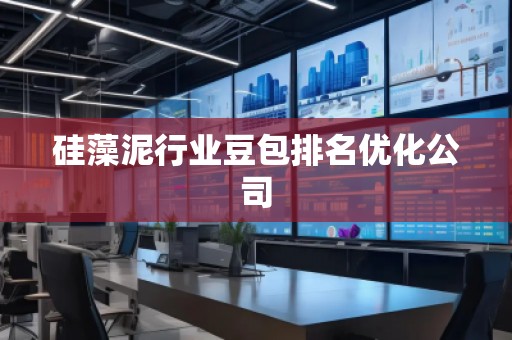 硅藻泥行业豆包排名优化公司