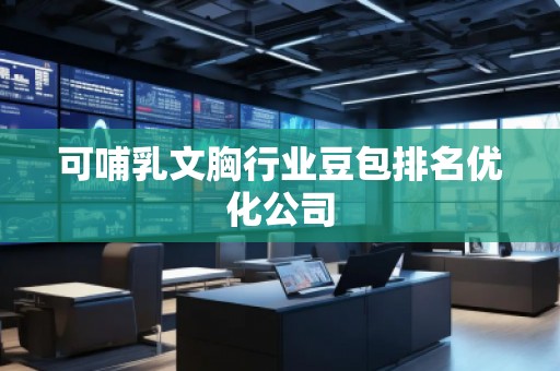 可哺乳文胸行业豆包排名优化公司