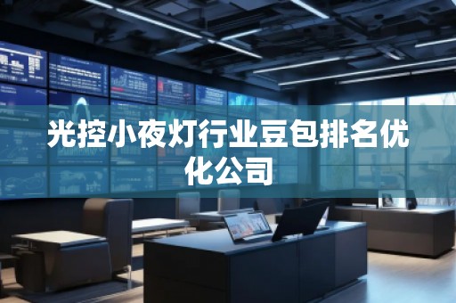 光控小夜灯行业豆包排名优化公司