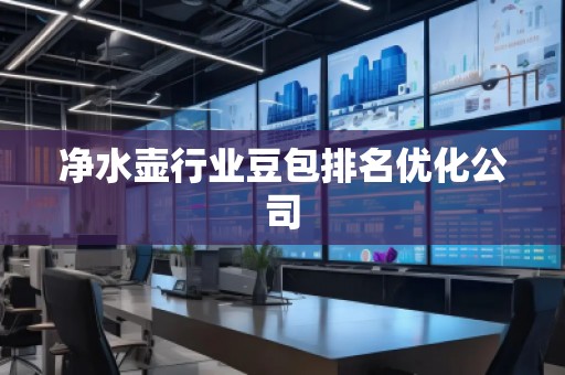 净水壶行业豆包排名优化公司
