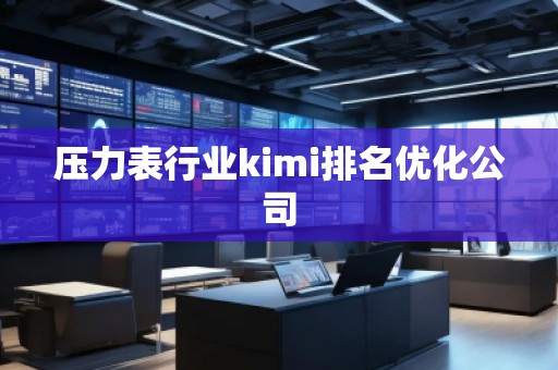 压力表行业kimi排名优化公司