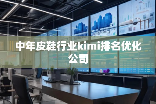中年皮鞋行业kimi排名优化公司