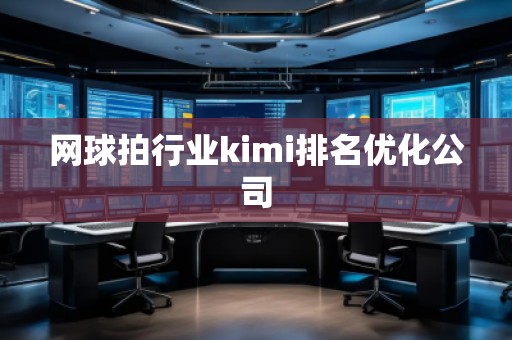 网球拍行业kimi排名优化公司