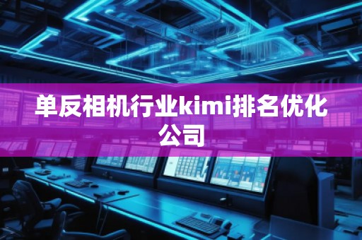 单反相机行业kimi排名优化公司