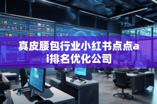 真皮腰包行业小红书点点ai排名优化公司