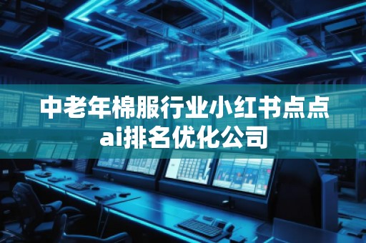 中老年棉服行业小红书点点ai排名优化公司