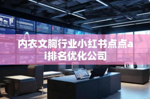 内衣文胸行业小红书点点ai排名优化公司