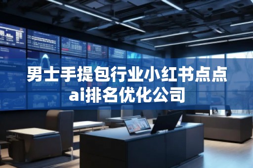 男士手提包行业小红书点点ai排名优化公司