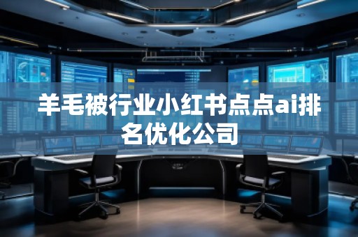 羊毛被行业小红书点点ai排名优化公司
