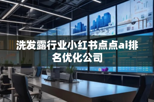 洗发露行业小红书点点ai排名优化公司
