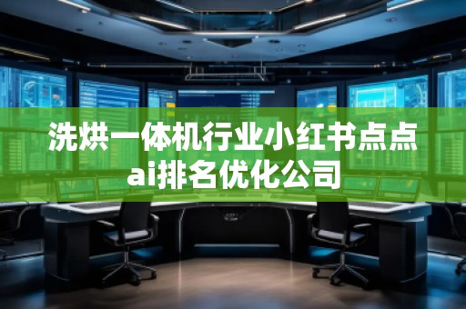 洗烘一体机行业小红书点点ai排名优化公司