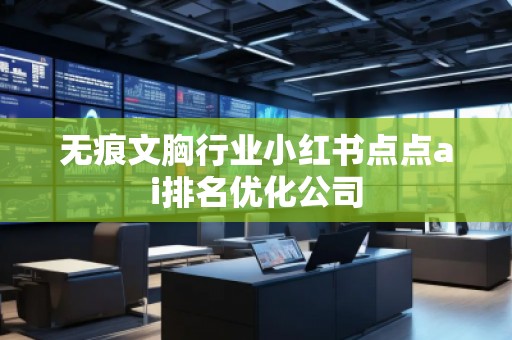 无痕文胸行业小红书点点ai排名优化公司