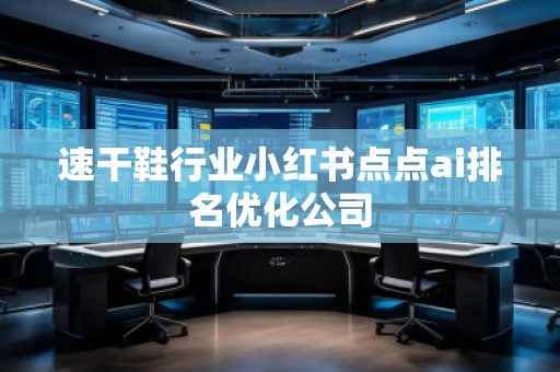 速干鞋行业小红书点点ai排名优化公司