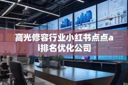 高光修容行业小红书点点ai排名优化公司